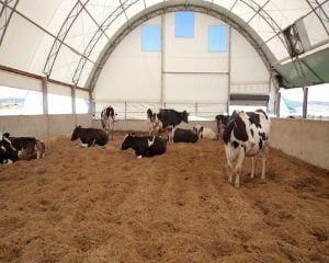 besi-cadiri-fiyatlari