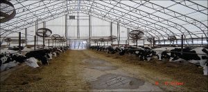 Hayvan Besi Çadırı