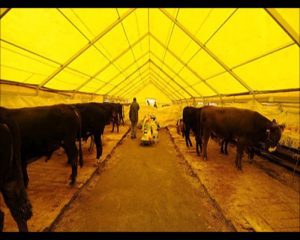 hayvan-cadiri-fiyatlari-2020