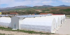 Mantar Üretim Çadırı